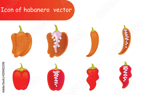 Icon of habanero vector 