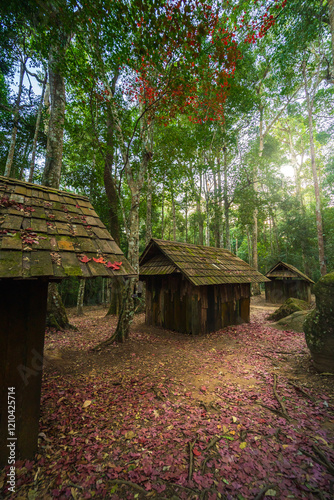 Obraz na płótnie red Maple leaf on the green moss of Old hut wooden political and military school at Phu hin Rong Kla National Park Nakhon Thai District in Phitsanulok, Thailand. w salonie