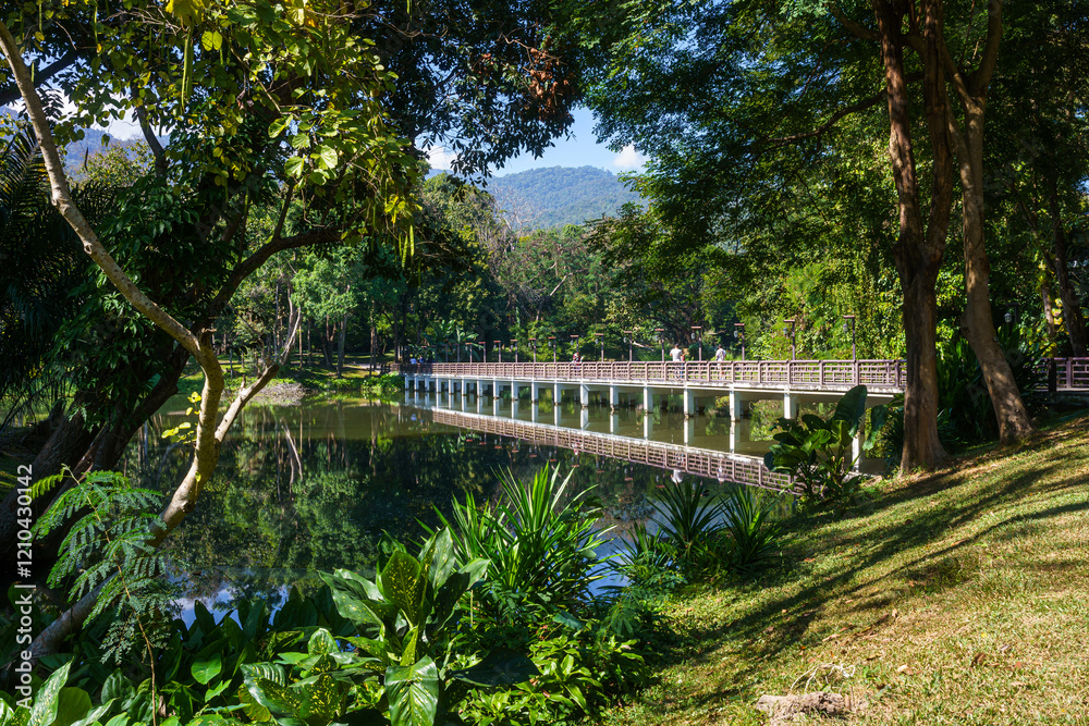 Bridge Road pathway in the park for relaxing walking jogging landscape lake views in nature forest Mountain views spring blue sky background with white cloud.