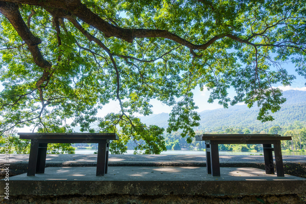 Two chairs empty on green grass at park in nature forest Mountain views spring bright blue sky weather nature abstract clear texture with white clouds summer light sun day.