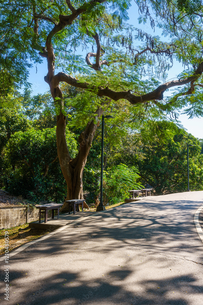 a public place leisure travel landscape lake views at Ang Kaew Chiang Mai University and Doi Suthep nature forest Mountain views spring cloudy sky background with white cloud.