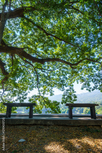 Obraz na płótnie Two chairs empty on green grass at park in nature forest Mountain views spring bright blue sky weather nature abstract clear texture with white clouds summer light sun day. w salonie