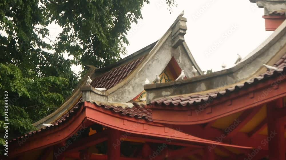 Doves perched and flew above the temple building Doves perched and flew above the temple building