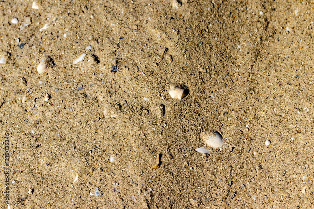 texture of sand texture of sand
