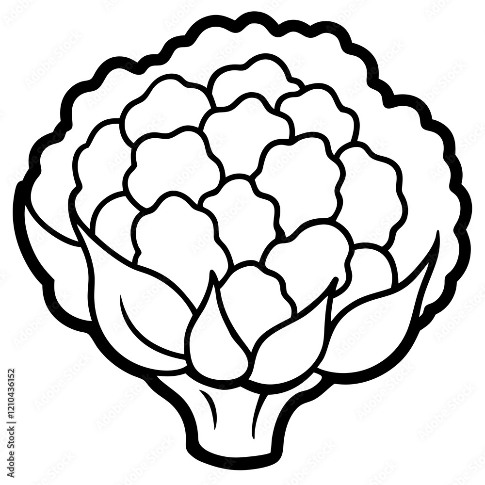 Abstract Cauliflower Vector Design Abstract Cauliflower Vector Design