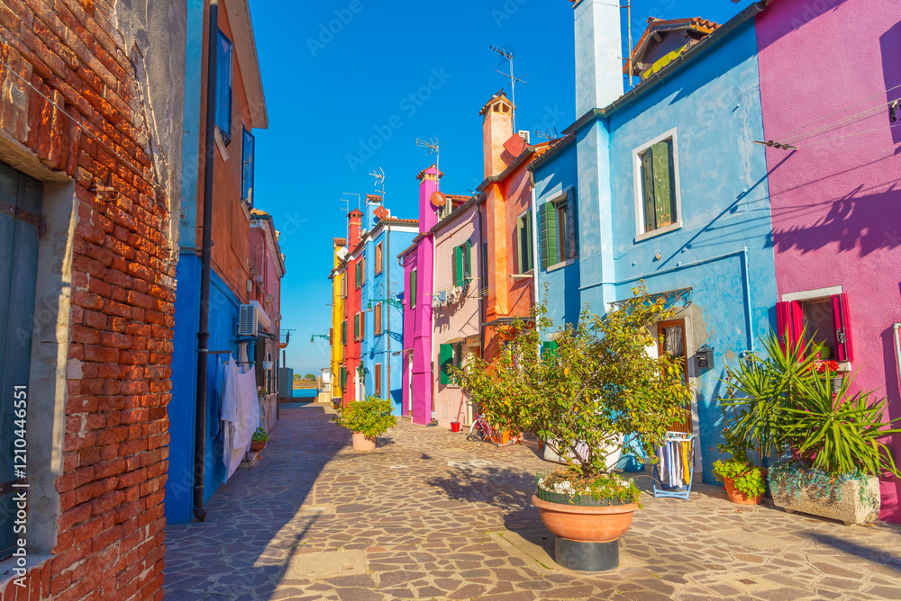 Obraz premium Quaint cobblestone street with colorful houses and greenery in Burano