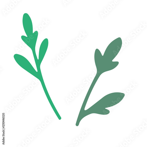 leaves,  A green vine with multiple leaves