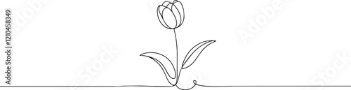 Tulip one line drawing.Abstract flower continuous line. Minimalist contour drawing of tulip. Continuous line drawing of flower tulip.Hand drawn sketch of flower with leaves.