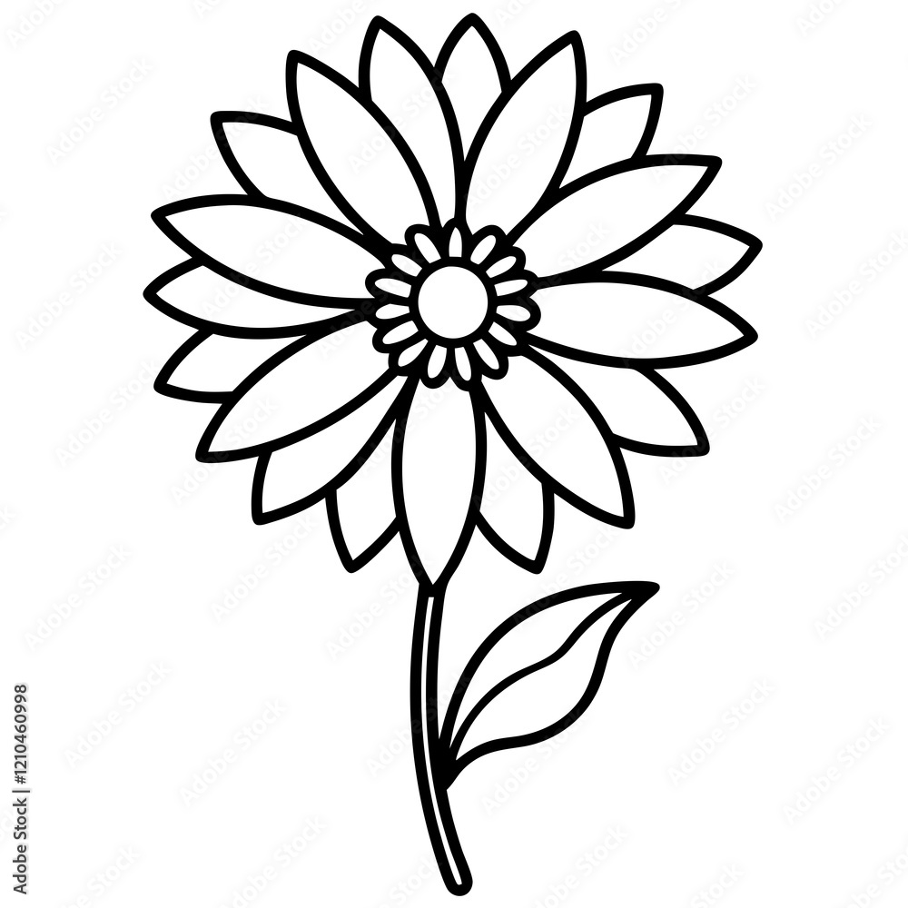 Gaillardia flower line art vector illustration Gaillardia flower line art vector illustration