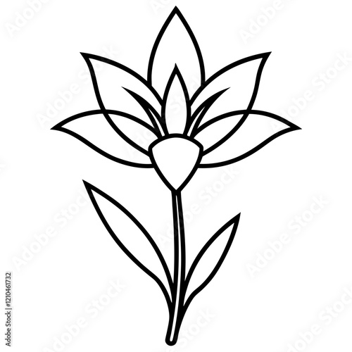  Tuberose flower bold line art vector illustration photo