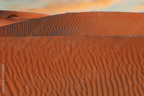 Fototapeta Naklejka Na Ścianę i Meble -  Oman, dunes of the Wahiba Sand desert