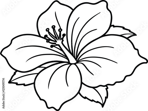 outline style hibiscus flower illustration