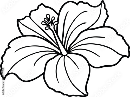 outline style hibiscus flower illustration