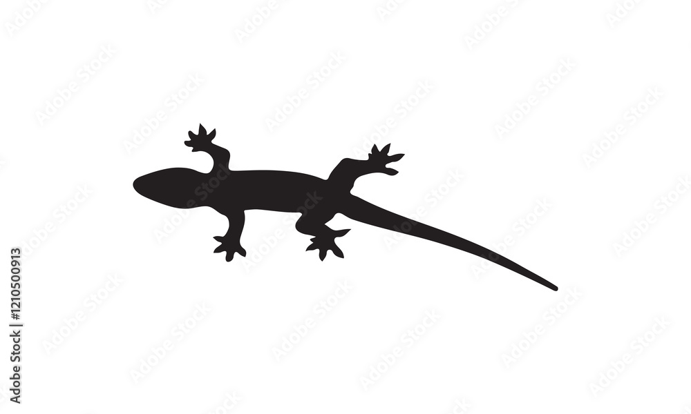 Obraz premium silhouette of a lizard