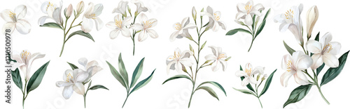 Jasmine watercolor clipart set. Hand Drawn Watercolor Jasmine Flowers and green leaves vector isolated on white background.