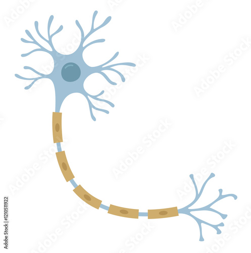 Vector Illustration of neuron cell