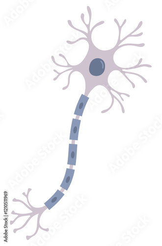 Vector Illustration of neuron cell