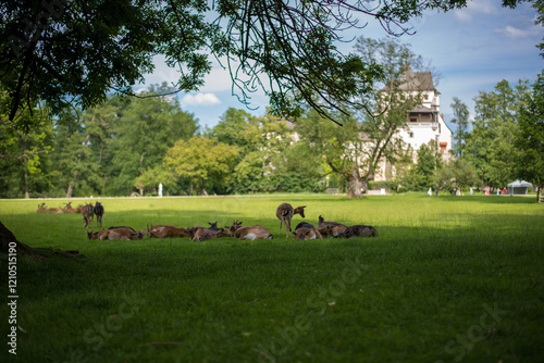 medieval castle Blatna with wooden fackverk tower photo