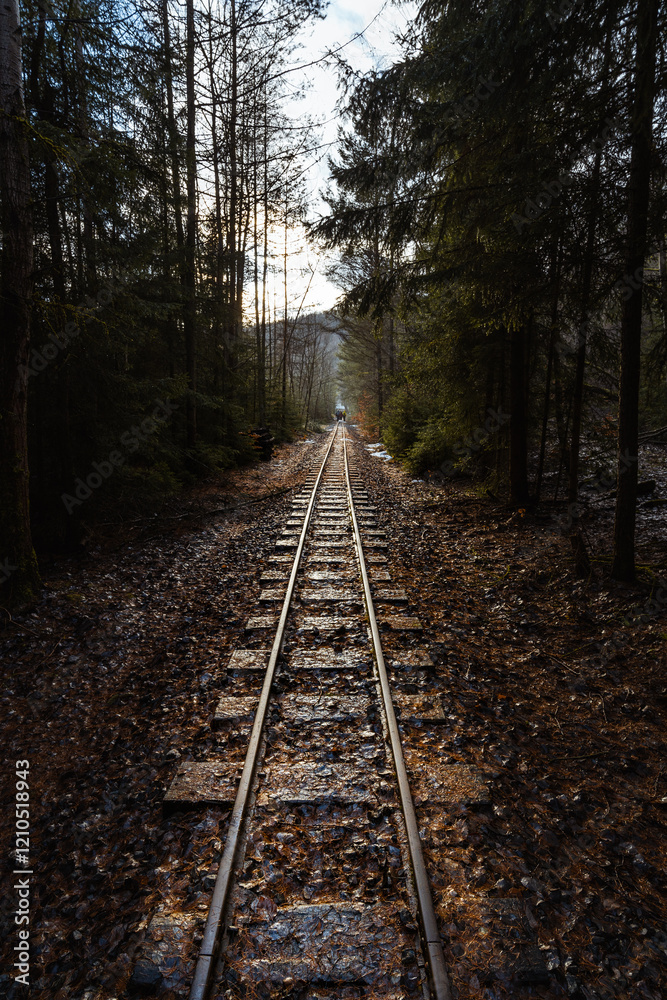 Moody image of old railway in the middle of forest Moody image of old railway in the middle of forest