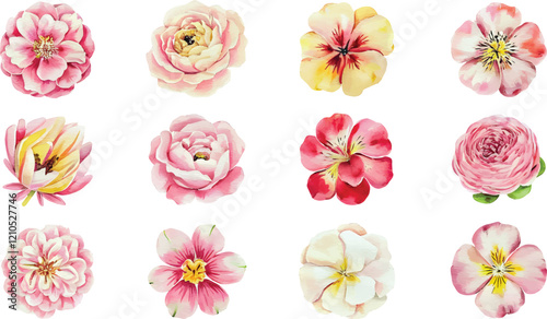 Watercolor set of different peony, orchid, primrose, flowers. Hand drawn flower vector illustration isolated on white background.