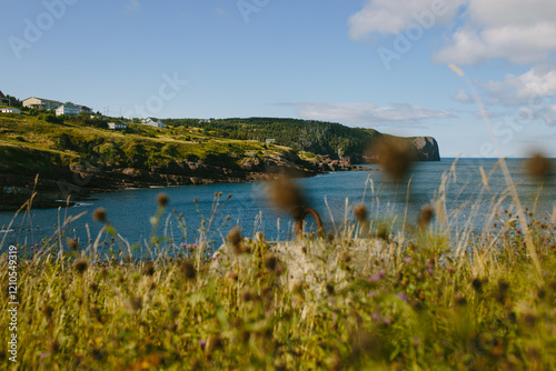 Scenic view of Flatrock, Newfoundland and Labrador photo