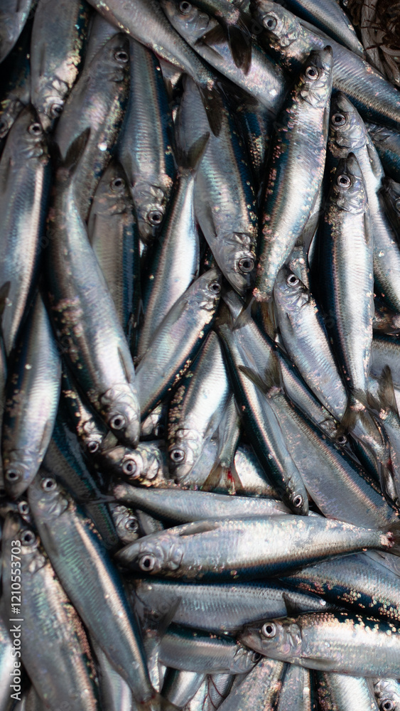 Obraz premium Scenes from a Fishing Trip