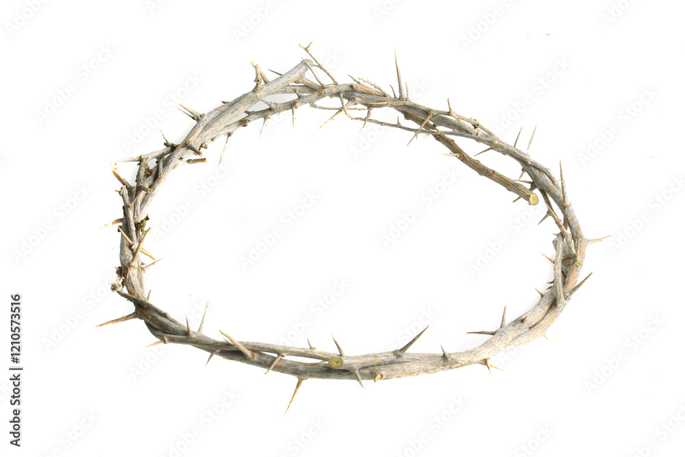 Fototapeta premium crown of thorns on white background