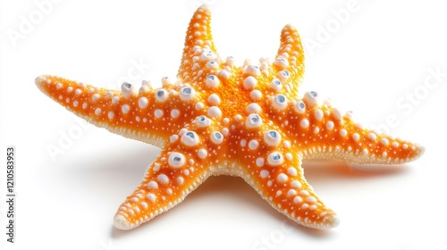 Starfish Isolated on White Background. Generative AI photo