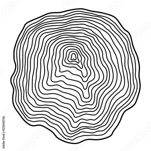 Linear tree rings texture. Cross section tree trunk. Tree stump print isolated on white background. Black and white wooden texture with concentric rings. Wood grain