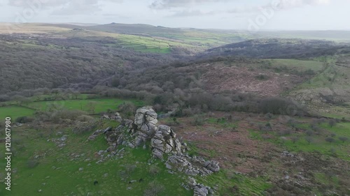 Vixen Tor, Dartmoor National Park, Yelverton, Devon, England, Europe