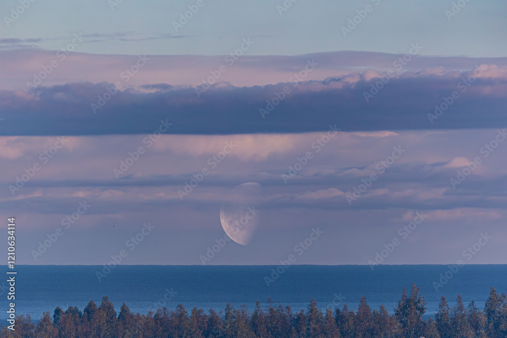 waning moon at the beginning of the year at dusk!