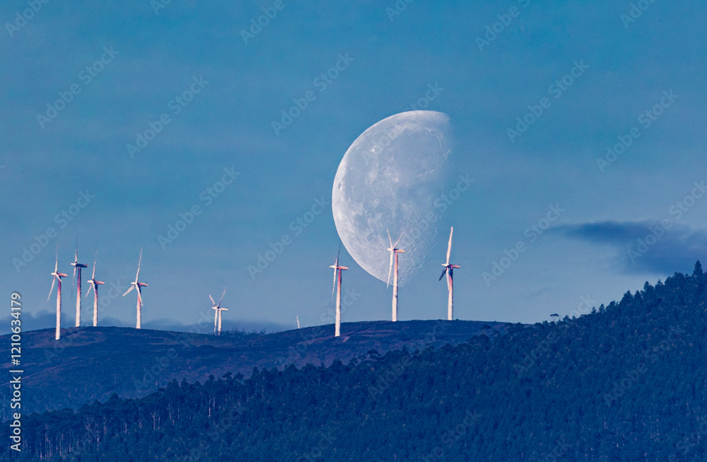 waning moon at the beginning of the year at dusk!