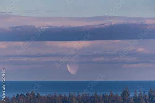 Obraz na płótnie waning moon at the beginning of the year at dusk! w salonie
