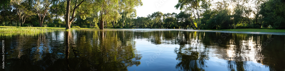 Floodwaters Reflecting Trees in Parkland