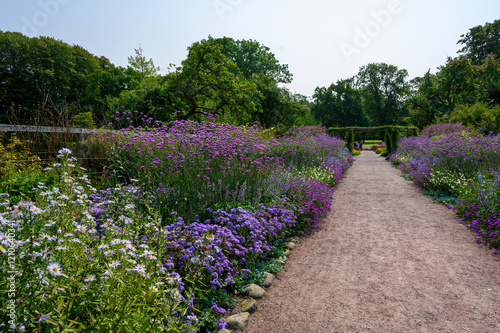 Vibrant flowers line a gravel pathway creating a picturesque route through a garden. The bright blooms in purple and white flourish under clear blue sky on a warm spring day