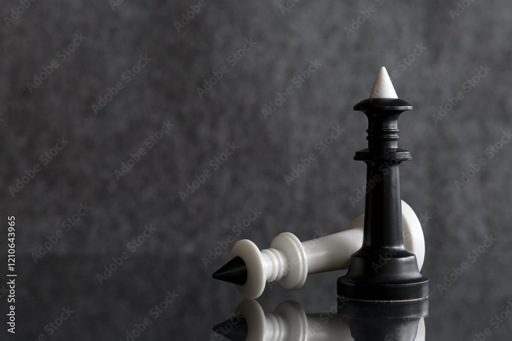 Two chess pieces. Black and white chess king. White chess piece is defeated. Evil triumphs over good. Two chess pieces. Black and white chess king. White chess piece is defeated. Evil triumphs over good.