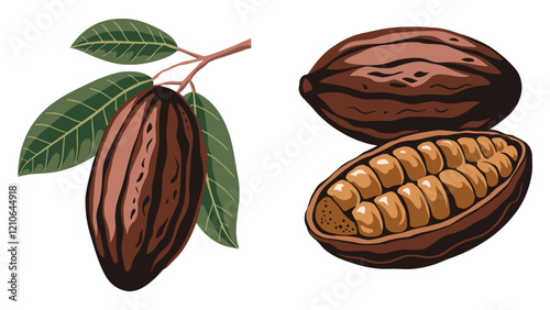 Vector illustration of cacao beans isolated on white background. Ideal for food, chocolate, and natural product designs.