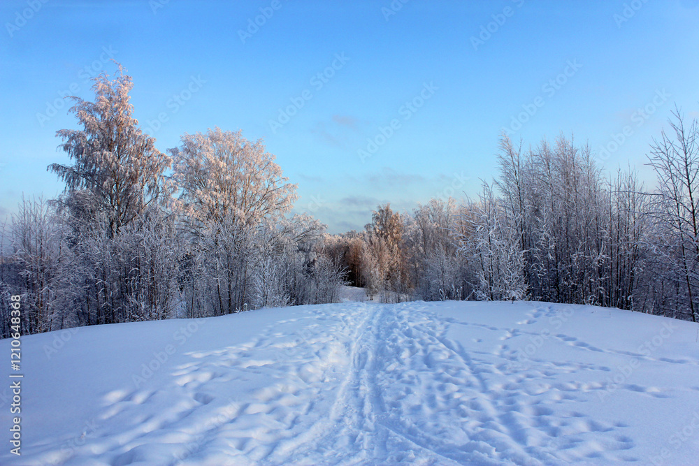 the road through the snow going into the distance. winter landscape. the road through the snow going into the distance. winter landscape.