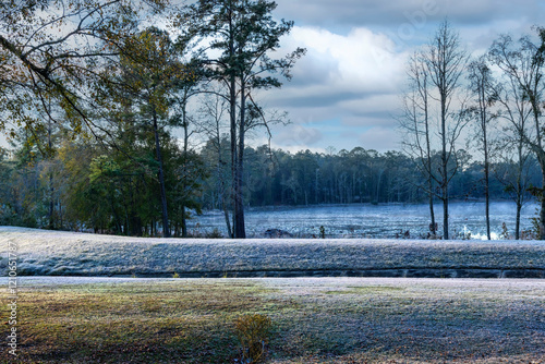 Morning Sun Warming the Tallahassee Landscape, Frosty Ground Cover