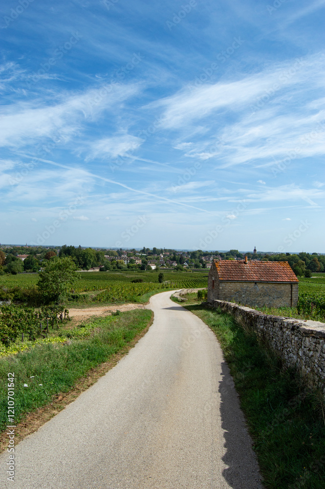 Paysage dans les vignes de Bourgogne Paysage dans les vignes de Bourgogne