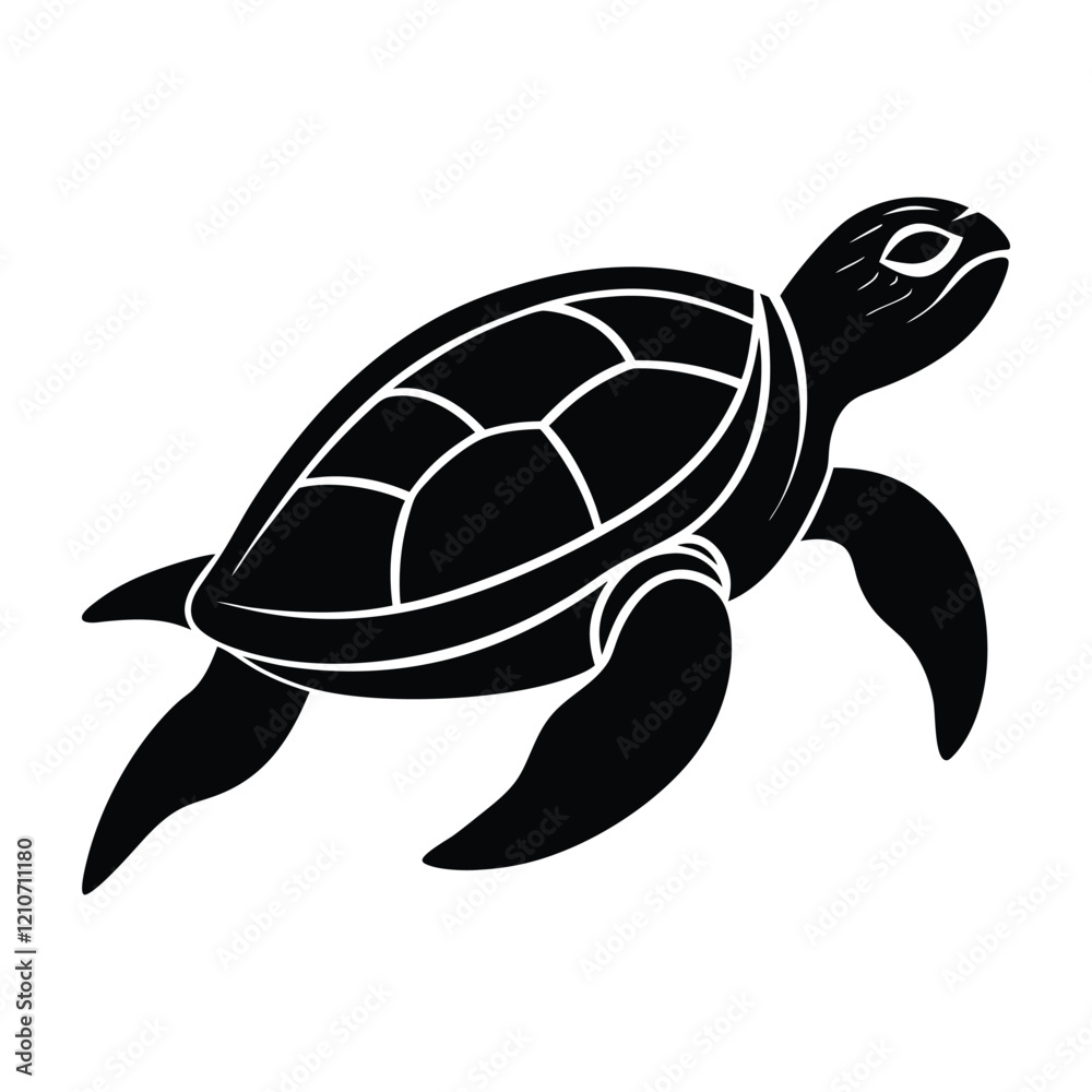Fototapeta premium turtle on the water