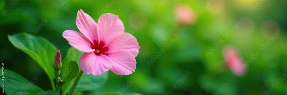 Delicate pink flower nestled among lush green leaves, tender, garden Delicate pink flower nestled among lush green leaves, tender, garden