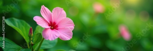 Delicate pink flower nestled among lush green leaves, tender, garden