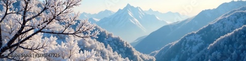 Frosty branches sway in gentle mountain breeze, frost, frozen, nature