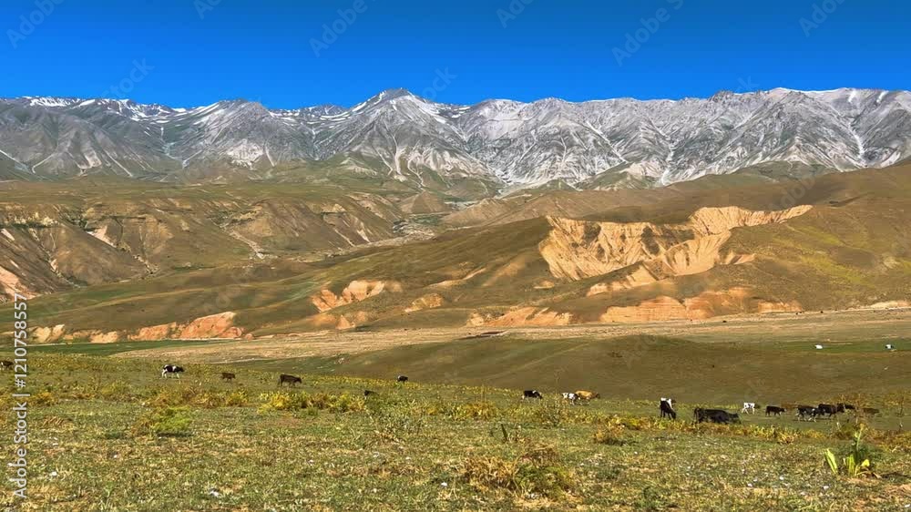 The mountain system of the Western Tien Shan in Uzbekistan. Panorama of the Western Tien Shan on the Angren plateau, Tashkent region. Promising orange mountains in the Western Tien Shan. 4K The mountain system of the Western Tien Shan in Uzbekistan. Panorama of the Western Tien Shan on the Angren plateau, Tashkent region. Promising orange mountains in the Western Tien Shan. 4K