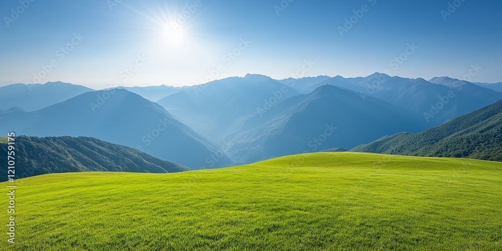 Fototapeta premium A stunning green meadow under a bright blue sky, illuminated by the warm sunlight.
