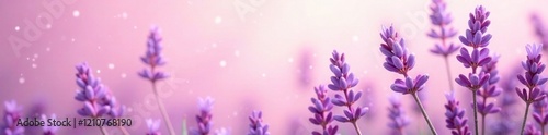 Soft pinks and lavenders blend with creamy whites in a dreamy, ethereal scene, dreamy, abstract, lavender