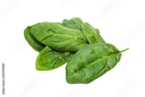 Green leaves of fresh spinach on a transparent and isolated white background
