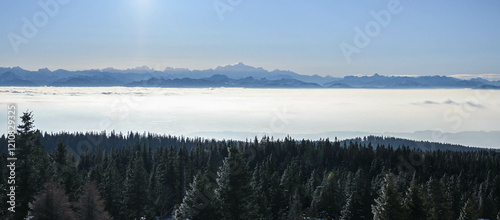 Layers of Mont Blanc over a sea of clouds and a pine forest in the Alps