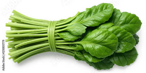 Bundle of fresh spinach isolated on a  white background, top view. illustration vector. 